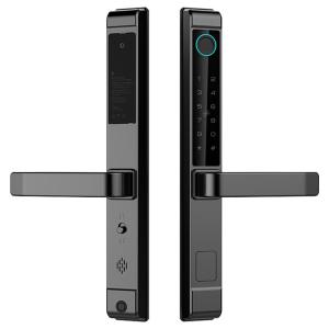 eLinkSmart | Smart Fingerprint & Password Entry Door Lock for Courtyard Villa