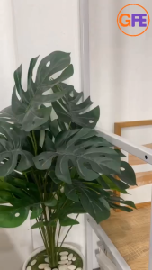 FreshCare Smash Fruity Matcha 4in1 Double Inhaler Kerokan Roll On Pijat Relaksasi Original Fresh Care