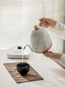 Maxwin | Smart Temperature Control Stainless Steel Kettle