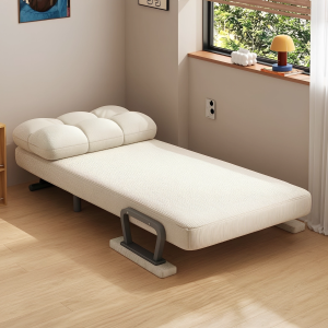 YOUDIANNIU | Folding Two-in-One Sofa Bed