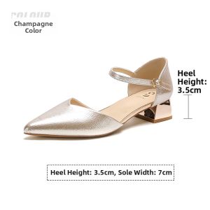 Josiny | Pointed Mary Jane Shoes Pe Champagne Stylish Dress Matching Chunky Heels