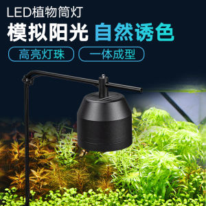 Youwan Full Spectrum LED Plant Downlight Water Plant Light Water and Land Landscape Light Small Chandelier Bright Water Plant Traditional Chinese Medicine