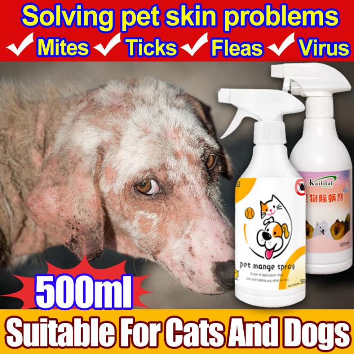 🐶 Veterinarian Referral 🐶Kaililai Mange treatment dogs Pet skin ...