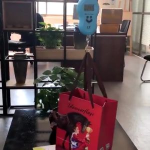 Timbangan Gantung Digital Smile 50KG Portable / Timbangan Digital Laundry / Electronic Scale Timbangan Koper Serbaguna Import U53