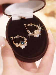 Light Luxury Temperament Bright Crystal Zircon Earrings 2022 New Trendy Fancy Fashion Ear Ring Silver Pin Earrings Women