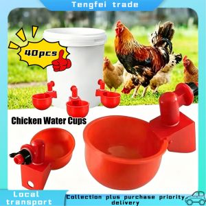 Automatic Chicken Water Cup Quail Nipple Waterer Bowl Farm Coop Poultry Drinking Water Feeder for Chicks Duck Goose