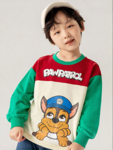 Paw Patrol | Spring Autumn Stylish Trendy Boys Sweatshirt