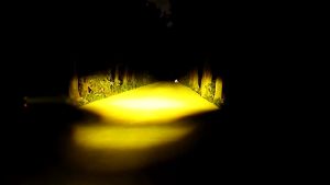 Lampu Sorot LED Kabut Mobil Motor Truk 12 Volt 24 Volt SQL 2 Mata