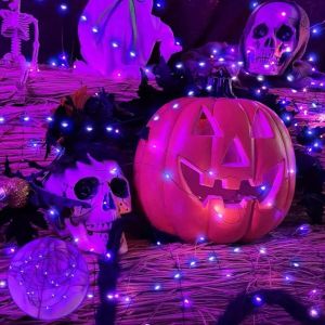 USB Purple LED Copper Wire String Lights 100 LED Holiday Party Wedding Birthday Halloween Room Bedroom Window Decorative Lights