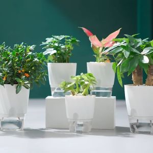 New Nordic Athens Style Lazy Water Free Resin Automatic Absorbent Transparent Round Plastic Hydroponic Flower Pot