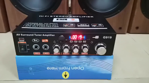 G919 G919H 1000W Power Amplifier Wireless Bluetooth Karaoke Mini Multifungsi USB SD CARD FM HIFI Car MP3 Radio Ampli Full Bass Subwoofer