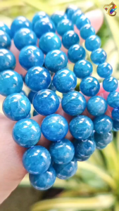 Premium Grade Blue Jeans Cat Eyes Blue Apatite Bracelet