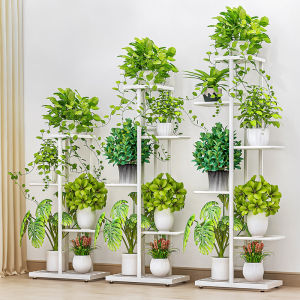 Multi-layer Iron Plant Stand For Indoor and Balcony
