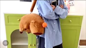 Túi Đeo Chéo Hình Capybara Lông Mềm Siêu Dễ Thương – Ba Lô Mini 2 Kiểu Đeo Đáng Yêu Hot Trend