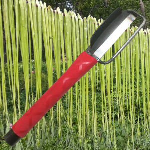 Large Size Vegetable Peeler for Cucumbers Potatoes Fruits Multifunctional Peeler Left Right Hand Compatible Kitchen Tool