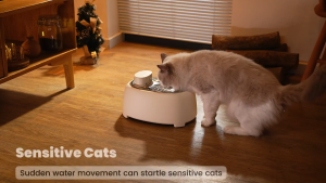 Momi Kaari Cat Hydration Flow / Drinking Tray / Water Fountain | Sofia Brown (3L water capacity)