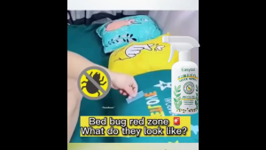 Easyout Bed Bug Spray Mite Removal Spray 500ml Insect Repellent Spray Pest Spray Bed Bug Dust Mite Removal Spray Penghalau