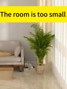 Double Layer 60/100/120/150CM Clothes Rack Hanger Rack Drying Rack Sampayan Stainless Hanger for Clothes Rack Stand Clothing Rack Metal Clothes