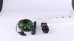110v 220v to 24V Green Wire Leather LED String Light Waterproof Outdoor Garland Festival Decoration Garden Xmas Lights 10M-100M