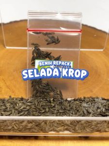 Benih Selada Krop / Head Lettuce Unggulan berkualitas biji keriting kepala bibit hydroponik hidroponik sayuran sayur