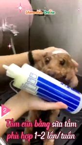 Vemedim Soothing Ear Nước Vệ Sinh Tai Khử Mùi Hôi Tai cho Chó Meo - Chai 100ml