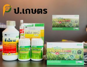 💁🏻ชุดยาหญ้าเกลี้ยงนาซาโกร : ฉีดเก็บหญ้าใบแคบ+ใบกว้างในนาข้าวอายุ15-30วัน🌾