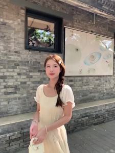 Soft Light French Style Lace Mesh Waist-Cinching Vacation Dress