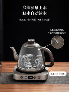 Pure Titanium Automatic Electric Water Kettle Tea Boiler Tea Steeper Bottom up Water Fill Tea Making Special Tea Table