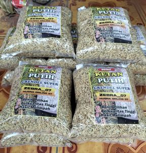 GROSIRRR!! 2 KG BENIH KETAN PUTIH GRENDEL BEST