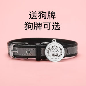 Pet ID Tag Collar for Cats And Dogs Customizable Engraved Lost Proof Bell Small Dog Pet Name Tag Coolmeng Brand Accessory