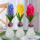 Shop Hoa Lụa Minh Huy 65
