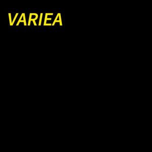 VARIEA- 331528B Lawn Mower Blade Compatible with for Some 21 Inch Cut MTD/Cub Cadet/Troy-Bilt Replaces 742-0741 742-04276