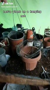 12x Quality Hanging Wire Basket For Plants With Hook