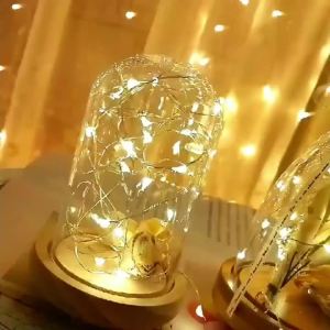 8 Chế Độ Đèn LED Dây Trang Trí Với Dây Bạc & Đồng Chống Nước Điều Khiển Từ Xa Hộp Pin Dùng Cho Đám Cưới Tiệc Tùng Trang Trí Cây Giáng Sinh