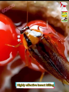 [COD]Powerful Insecticide Child Pregnancy Safe Non-toxic Fly Killing Cockroach Flea Ants Flies etc bugs