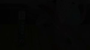 เจลกำจัดแมลงสาบ แมลงสาบ ยกกำจัดมด ยกกำจัดแมลงสาบ แมลงสาป ตายยกรัง D41