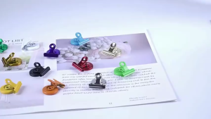 2PCS Color Magnetic Clip Fridge Magnetic Clips for Home Office Organizer