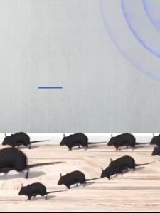 หลังเสียบหนี10000ม.ไม่มีหนู เครื่องไล่หนู ไล่หนูถาวร รุ่นใหม่ล่าสุด2025 ที่ไล่หนูไฟฟ้า ไล่หนู งู ตะขาบ แมงมุม ไล่จิ้งจกฯลฯ เครื่องไล่หนูsonic ปกป้องสุขภาพของครอบครัว ไล่หนูบนเพดาน เครื่องไล่หนูไฟฟ้า ทำร้ายประสาทหนูโดยตรง ไล่หนูไฟฟ้า กำจัดหนู ที่ไล่หนู