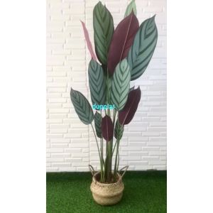 Pohon Artificial Tanaman Hias Daun Callathea Ungu T150 Latex Cover Pot Anyaman Purun Belly Dekorasi Apartemen