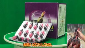 KÍCH MỌC LÔNG GÀ SIÊU TỐC  THÁI LAN 1 vỉ 10 viên.Rút Ngắn Thời Gian Thay Lông Gà.Lông mượt hơnKhông Gãy Lông