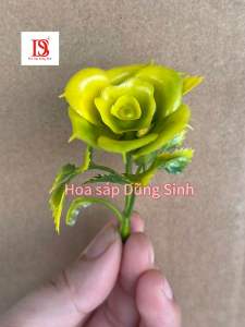 [ C443 ] ( Bịch 500 GRAM ) Sỉ cỏ điểm hoa điểm lá táo được chọn mẫu trang trí bó hoa giỏ hoa quả decor HandMade