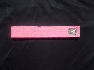 SABUK PSHT SABUK KAIN SH TERATE SISWA POLOS HITAM JAMBON HIJAU PUTIH SABUK SISWA PENCAK SILAT SABUK BELADIRI