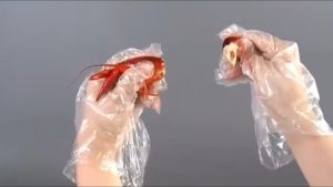 SARUNG TANGAN PLASTIK DISPOSABLE GLOVES 100PCS / BIKIN KUE / SEMIR RAMBUT