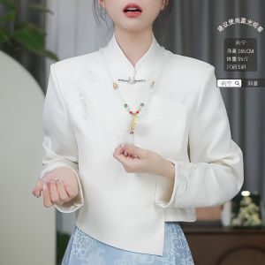 New Chinese Style Embroidered Long Sleeve Shirt Stand Collar Button up Qipao Dress with Skirt for Women Autumn Season