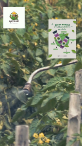 Green Bond X สารเสริมประสิทธิภาพ สูตรเข้มข้น ขนาด 100 ml.