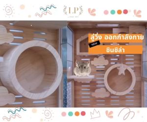 LP16 ล้อ ลู่วิ่ง วงล้อ ชินชิล่า ทำจากไม้สน มินิมอล แข็งแรง เสียงเงียบ ให้สัตว์เลี้ยงวิ่งเล่นออกกำลังกาย ทำจากไม้สนเกรดA