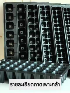 【Pocainoe】*ค่าส่งถูก* ถาดเพาะกล้า ถาดเพาะชำ ถาดเพาะต้นกล้า ถาดเพาะต้นอ่อน ถาดเพาะเมล็ด ถาดเพาะปลูกผัก 50หลุม 105หลุม 200หลุม เมล็ด เมล็ดพันธุ์