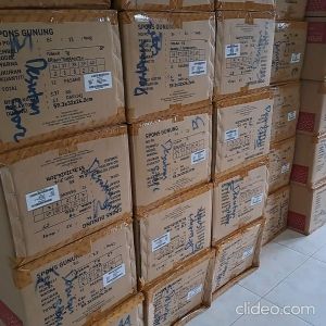 Carvil Isyana Felita & Tami Sandal Wanita Tali Belakang Fashion Travel Terbaru Trendi [Desutan]