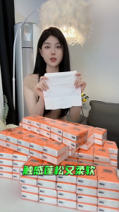 ZhiMeng Eco-Friendly 3-Ply Virgin Wood Pulp Pocket Facial Tissue | 6 Sheets/Box x 10 Packs | Multipack