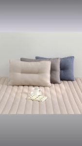 Our & Deco Shiny Dust-Free Allergy Care Washable Cervical Pillow | Height Adjustable & Double-Sided | Dust Mite Prevention Pillow for Neck & Shoulder Comfort